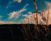 骚扰电话呼叫软件