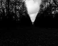 哪里有保障的云呼免费网络电话