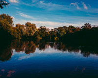 手机号自动轰炸