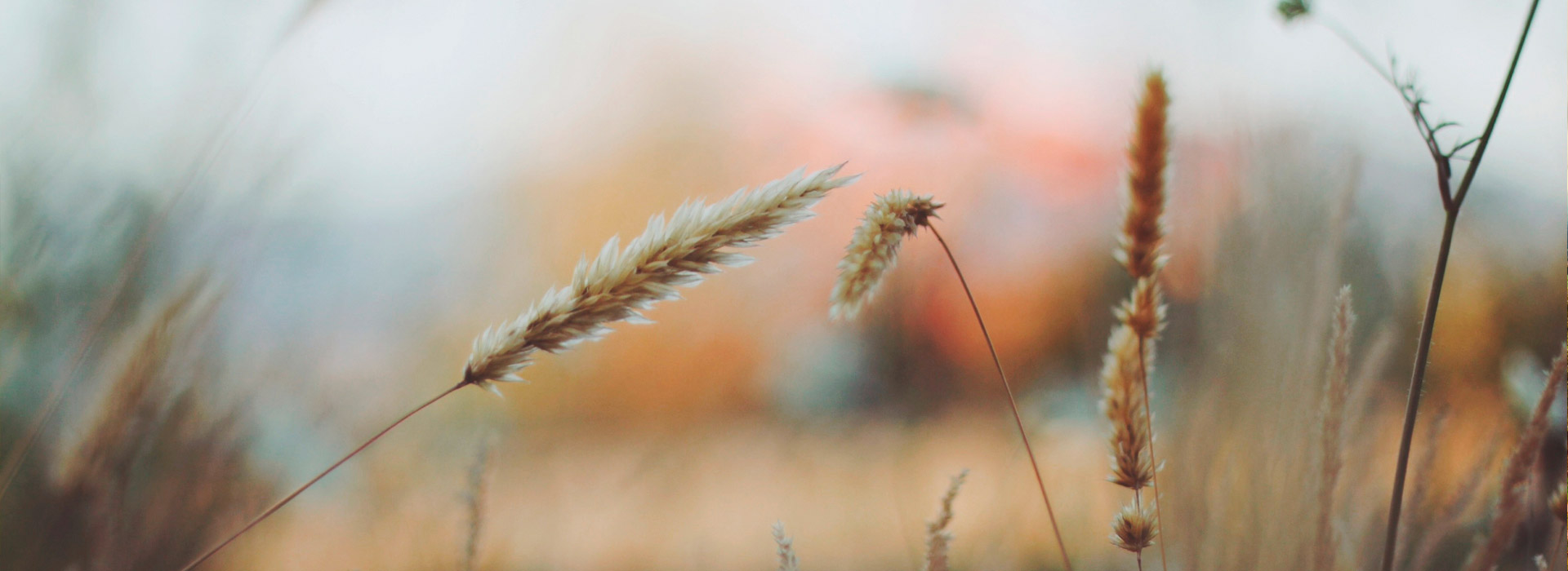 电话轰炸在线免费