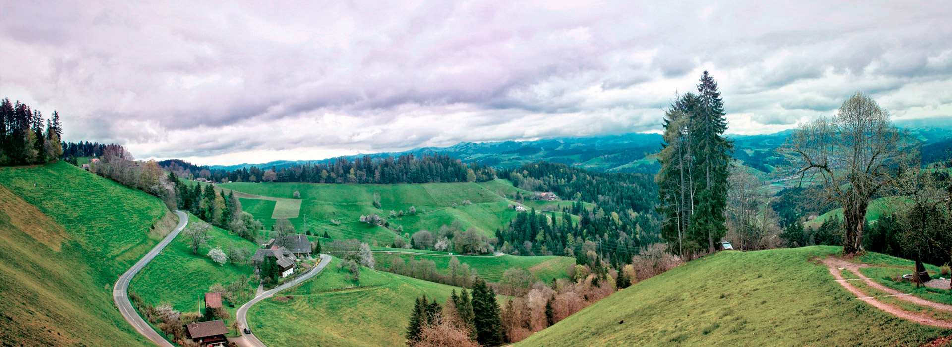 免费短信轰炸机试用